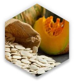 Pumpkin Seed Extract